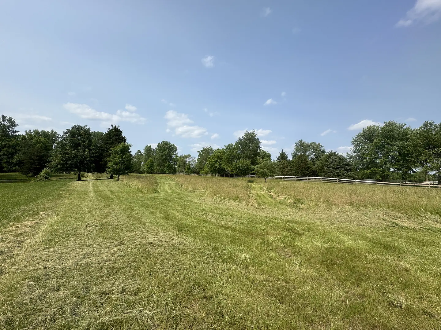 A mowed section of a large grassy property bordered by trees and a white fence, from the 2Guysandalawnmower portfolio.
